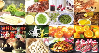 2019一鄉(xiāng)一品國際商品博覽會 特色美食等您嘗