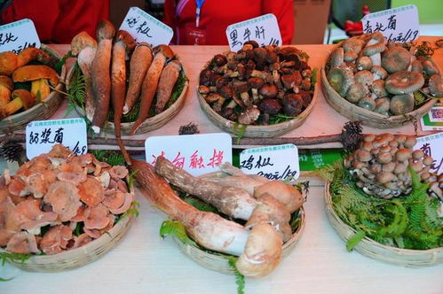 云南武定美食農(nóng)特產(chǎn)品推介與火把節(jié)宣推活動即將亮相昆明